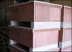 點擊(ji)放大查(cha)看